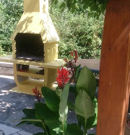 Antonella Apartman *