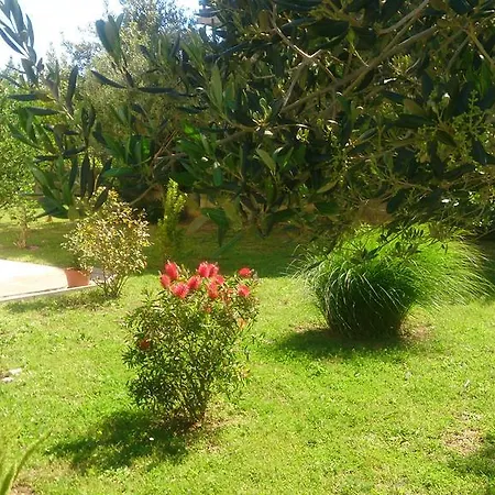 Apartman Antonella *